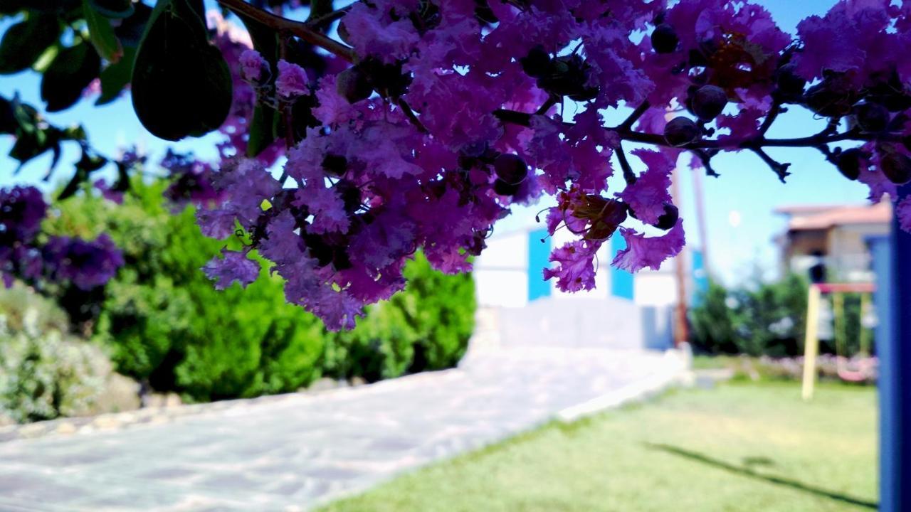 Zephyros Family Apartments 2 Όρμος Παναγιάς Εξωτερικό φωτογραφία
